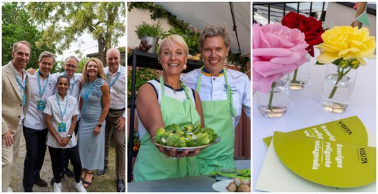 Stark vecka i Almedalen för Visita
