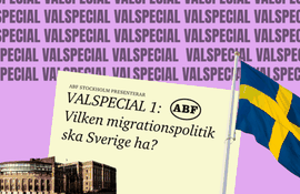 Valspecial 1: Vilken migrationspolitik ska Sverige ha?