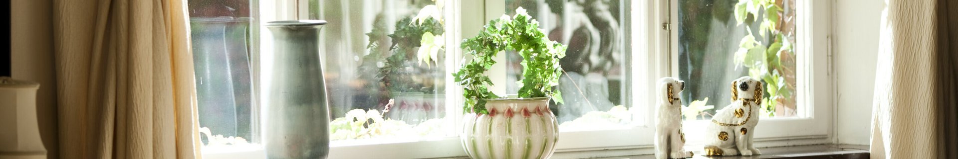 Krukväxt i fönster på Sophiahemmet