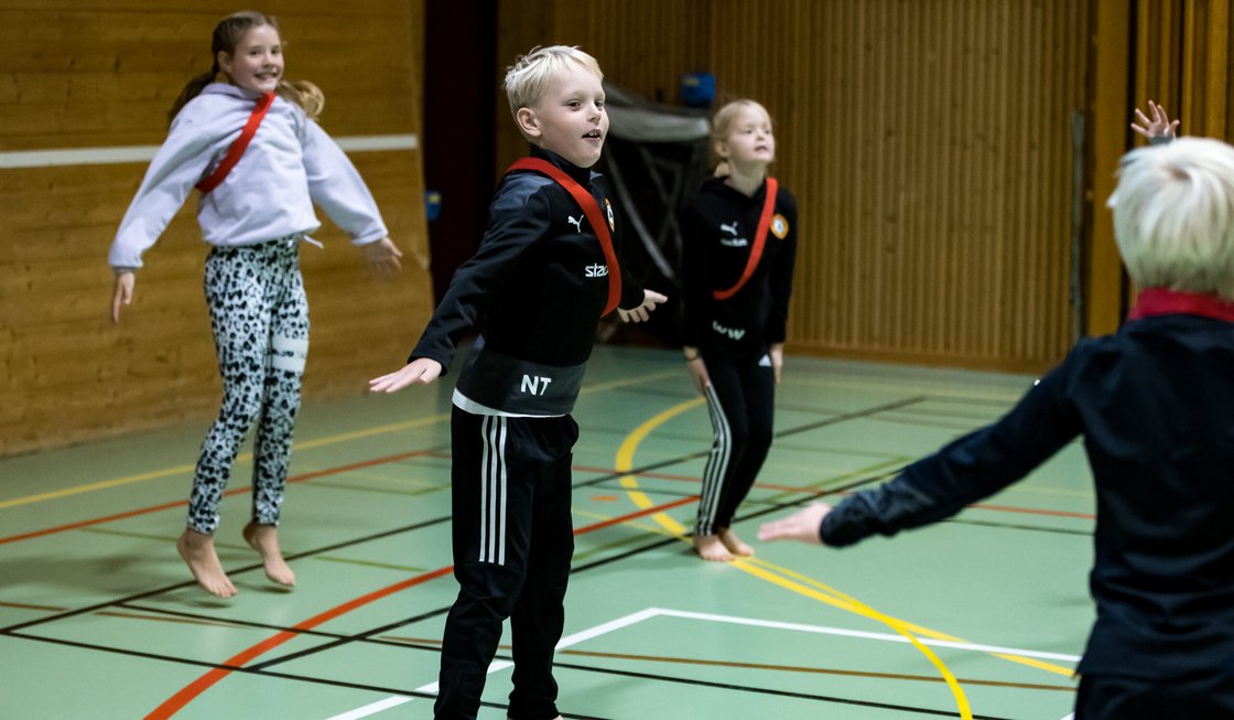 De skolhallar som inte hyrs ut uppfyller sällan idrottsrörelsens behov
