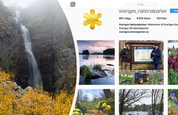 Sveriges unika natur lockar allt fler