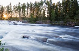 ”En av Tornedalens unika reseanledningar kan försvinna”