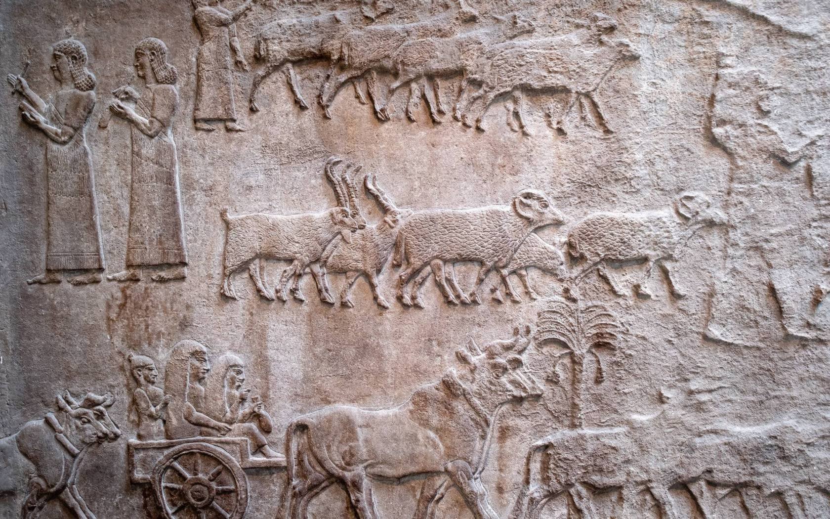 Wall figures