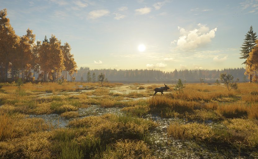 theHunter: Call of the Wild | Home Page