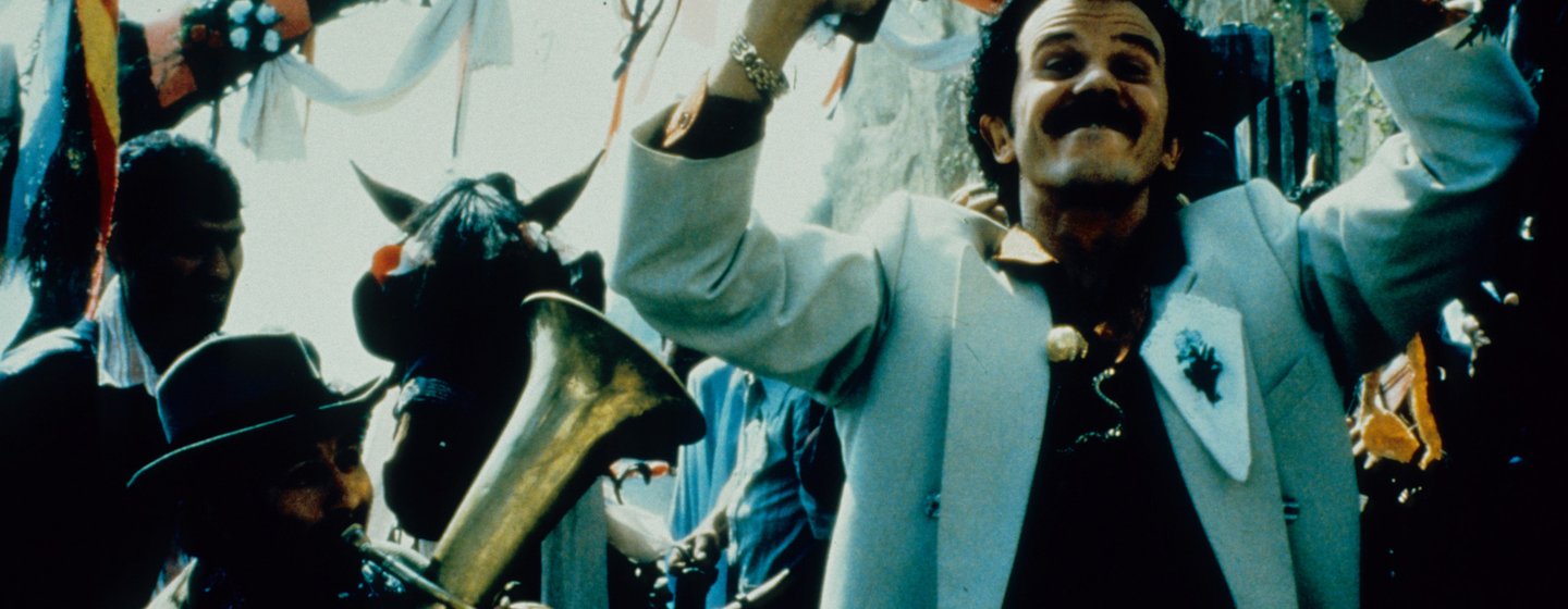 Svart katt, vit katt