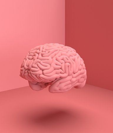 8 intressanta boktips som lär dig mer om hjärnan