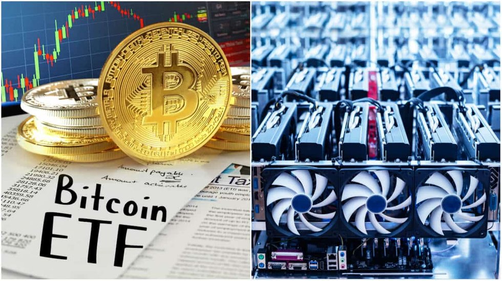 Kryptodygnet: Ansökningar om bitcoin-ETF:er avslås och största valutorna sjunker.