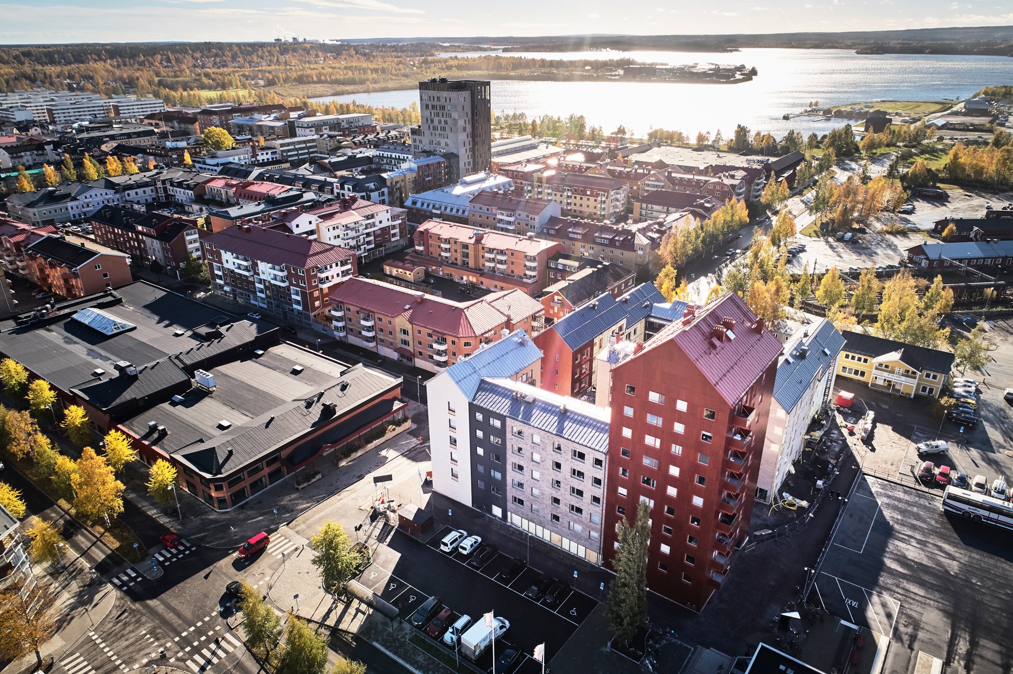 Tallen, bild 1 av 4