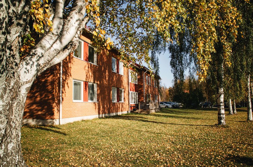 studentboende skellefteå medlefors