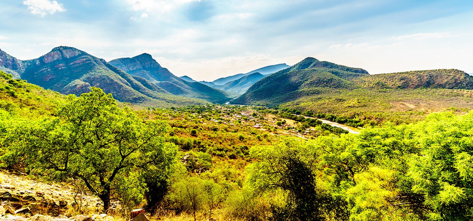<p>Around two-thirds of Mpumalanga’s land is used for agriculture, including natural grazing land and farming</p>

