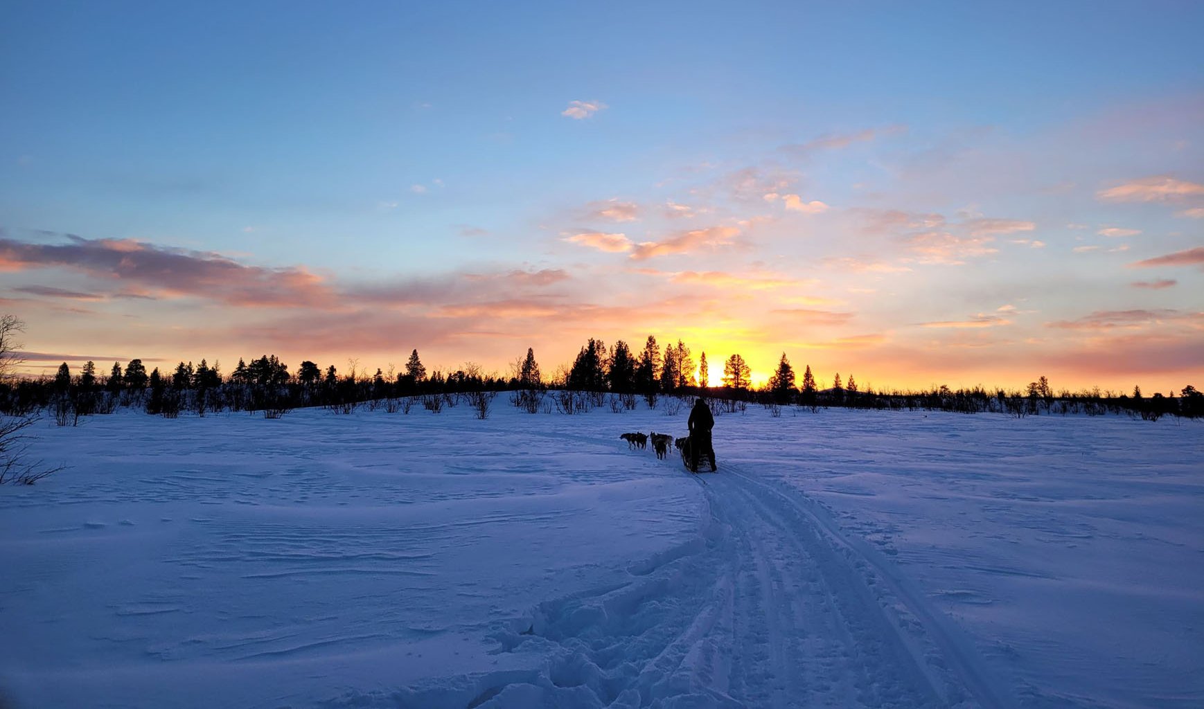 Husky Dreams kvällstur