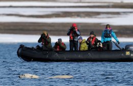 Sänkt moms på naturguidning: ”Stärker konkurrenskraften”
