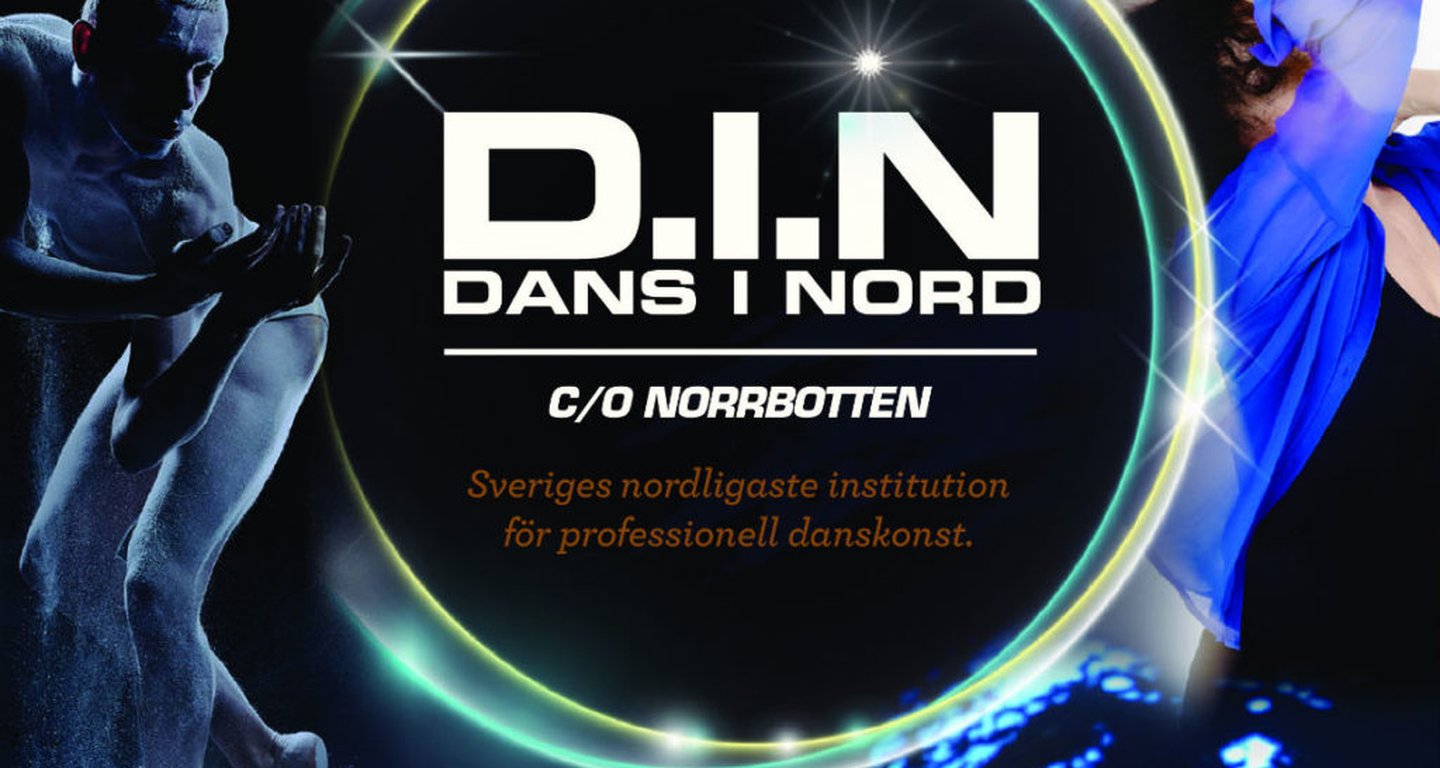 DINGenerellLogga1171-1024x1024