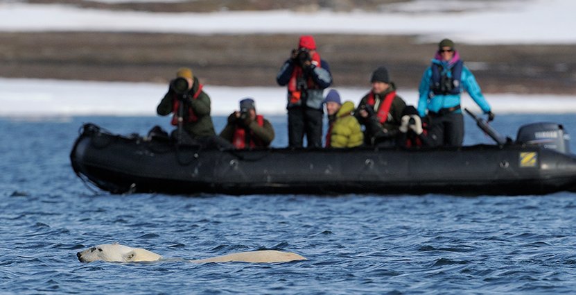 Ekoturismföreningen är nöjd med sänkningen, men oroad<br />
 över Skattverkets krångliga regler för guideföretagen.  Foto: Ekoturismföreningen/Staffan Widstrand
