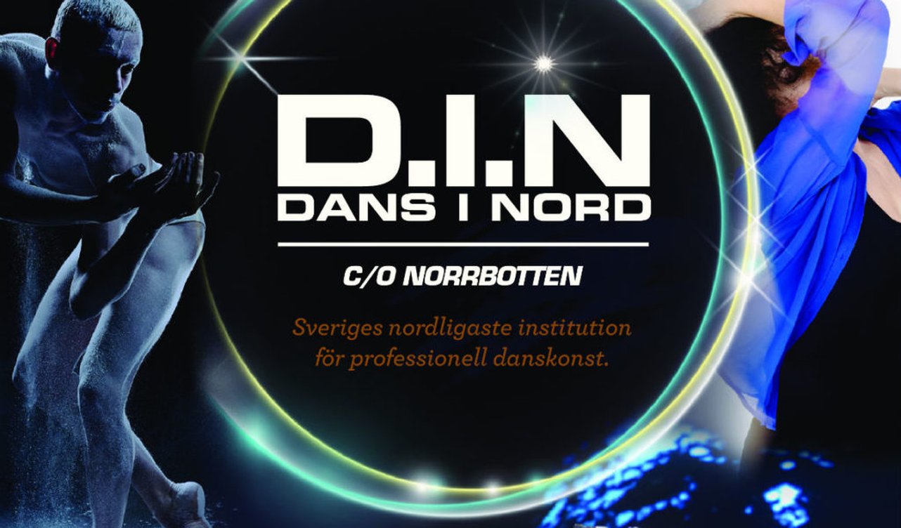 DINGenerellLogga1171-1024x1024