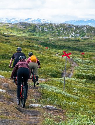 Three friends are riding mountain bikes up on the bare mountain