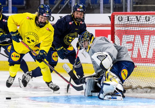 Vad är egentligen målvaktsträning?