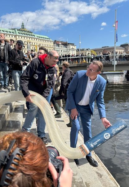 Heba sätter ut laxfiskar i Stockholms ström