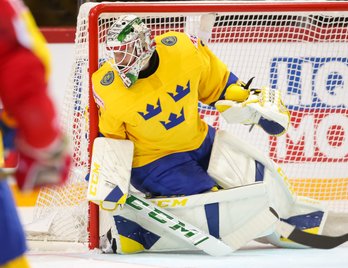 Höft- och ljumskproblem bland elithockeyspelare. Ett samarbete mellan Umeå Universitet och Svenska Ishockeyförbundet