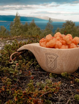 en tr&auml;k&aring;sa fylld med handplockade hjortron