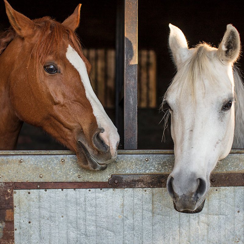 Böckerna att läsa efter att du sett 