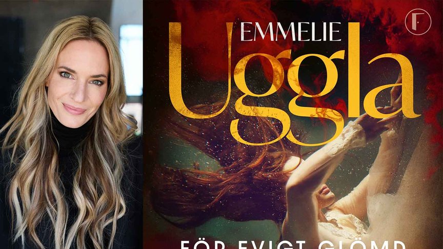 Emmelie Uggla: "Idén började framförallt med att jag i mitt jobb ramlade över problematiken"