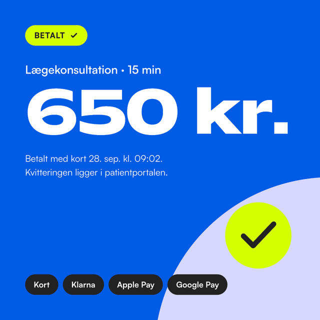 Betaling på 650 kr. for lægekonsultation markeret som betalt, med kort, Klarna, Apple Pay eller Google Pay