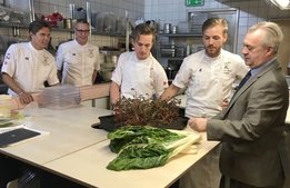 Kock-VM får 1,9 miljoner av regeringen