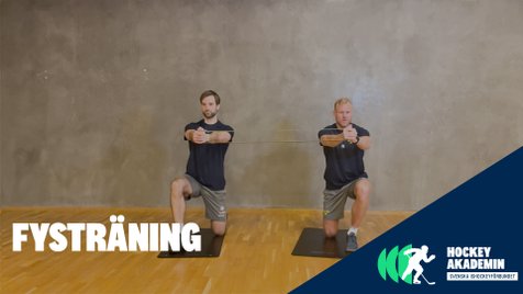 Fysövning: Pall of press (1)