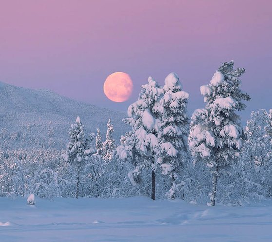 Samiwellness med Scandinavian Photoadventures