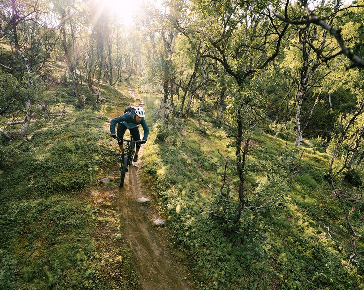 mountainbike bland fj&auml;llbj&ouml;rkar