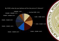 Ny undersökning visar: Få investerare tror att bitcoinpriset nått 50 000 dollar 2030