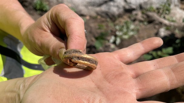 En av guldspiralerna som hittades vid stenblocket. Foto Stiftelsen Kulturmiljövård