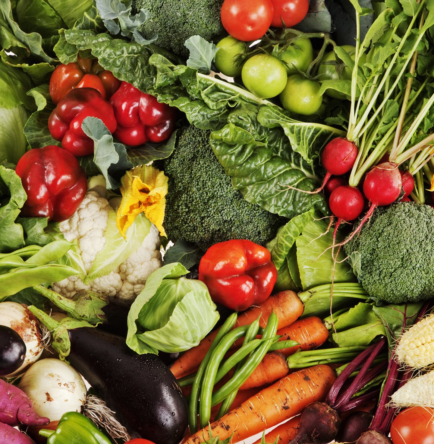 Collection of freshly picked vegetables. South Africa.