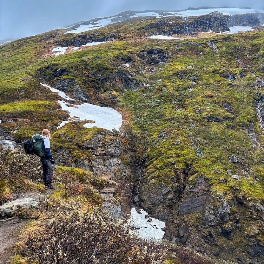 kvinna kollar p&aring; utsikten uppe p&aring; kalfj&auml;llet i en dal