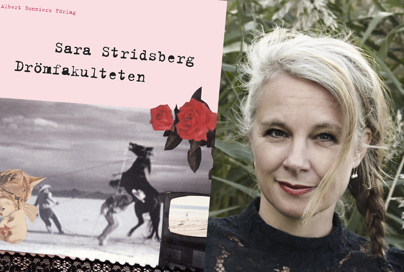 Sara Stridsberg Drömfakulteten