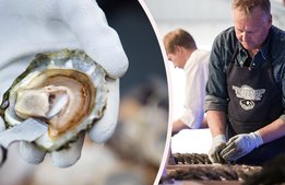 Här tjuvstartar sommaren i helgen – med Ostron-NM