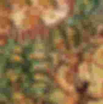 Depiction of a conflict between two Native American tribes in 1562. Drawing by Jacques Le Moyne de Morgues (1533-1588).