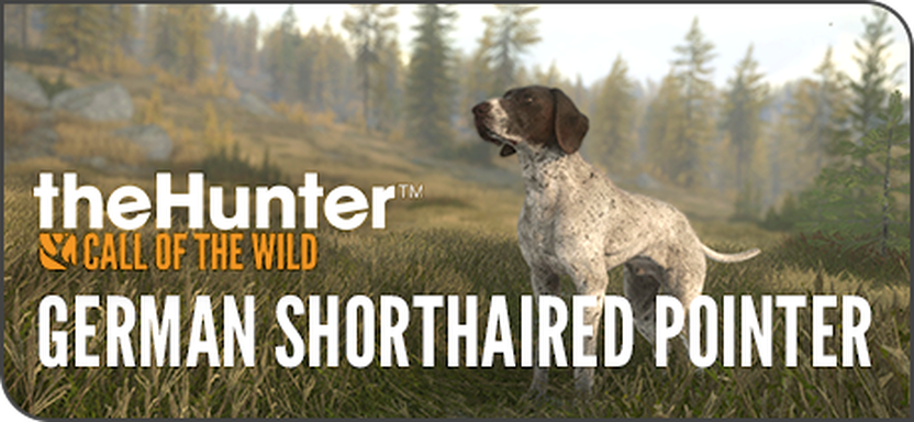 Screenshot of a white german shorthaired pointer with dappled brown dots on its fur and a mostly brown face. The text reads 