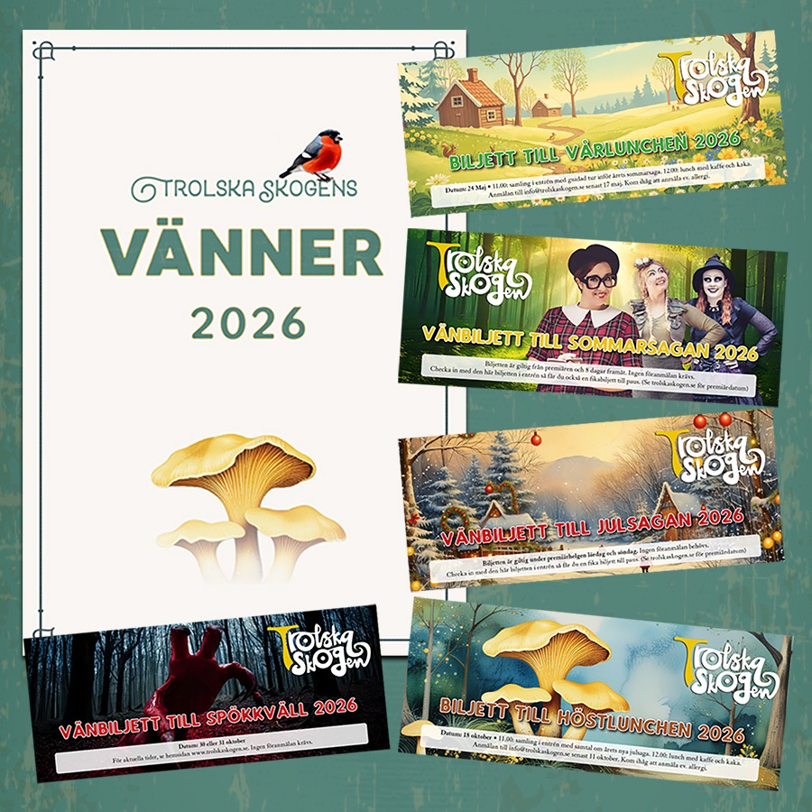 vänner tickets3