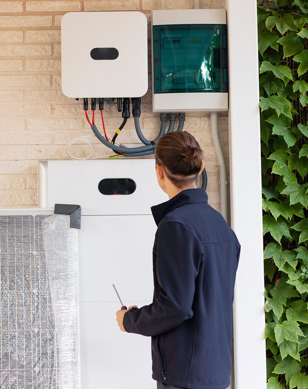 Why Your Home Battery is Vital to the Energy Transition - Flower Insights