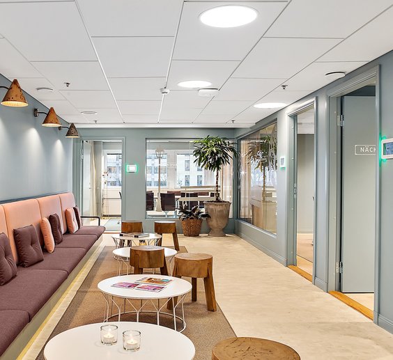 Vasakronan väljer Dannebacken