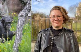”Det är en enorm sorg och skuld vi jobbar med”