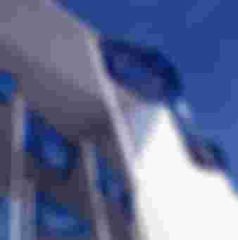 European Union flags.